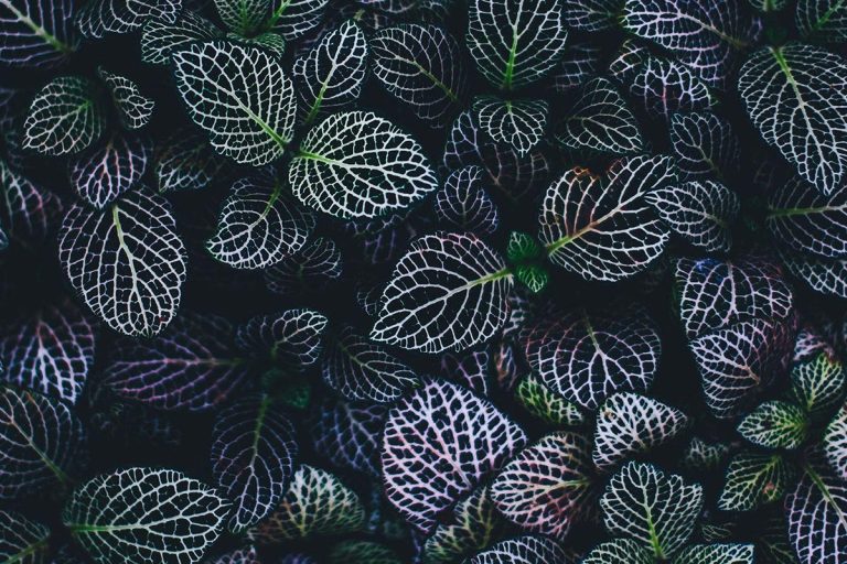 News Update News Update