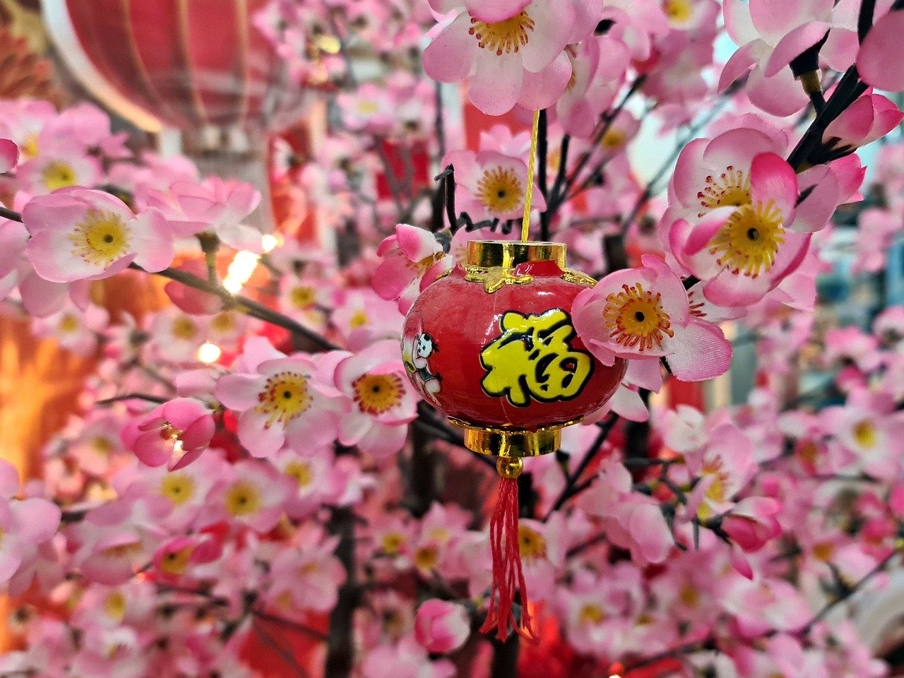 Exploring Global Traditions A Deep Dive Into The Richness Of Cultural Diversity