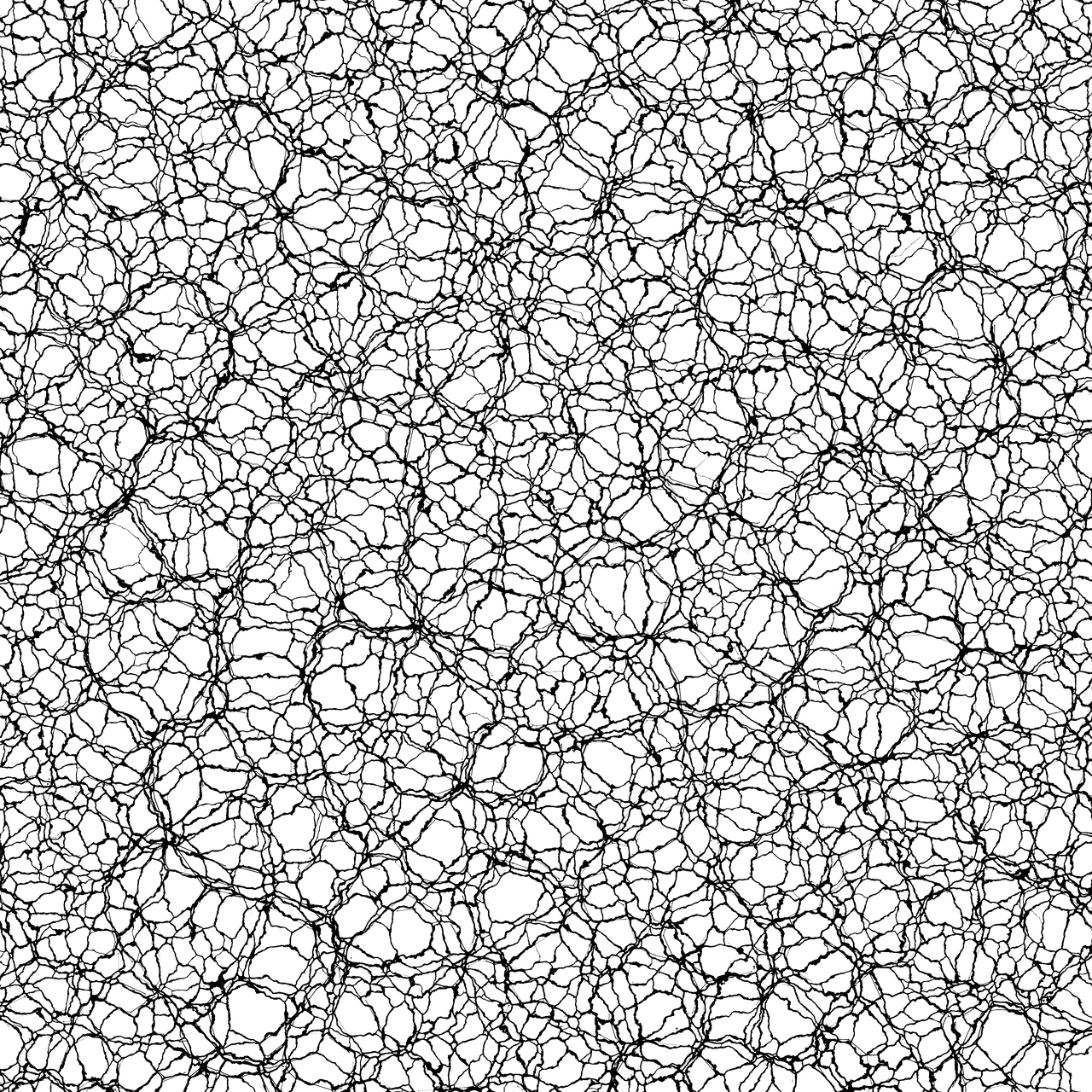 In multicultural societies, fashion becomes a way to bridge different