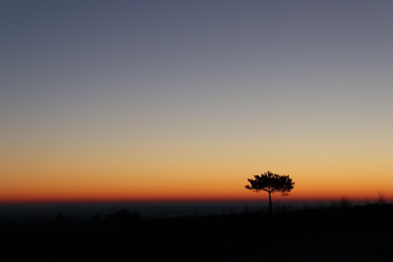 For a holistic brand building strategy, it's essential to integrate